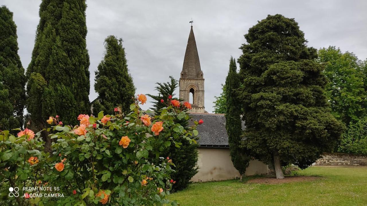 L'Angeline Bed & Breakfast Gennes-Val-de-Loire Екстериор снимка